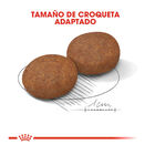 Royal Canin Adult +7 Medium ração para cães, , large image number null